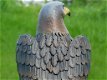 havik , adelaar tuinbeeld - 5 - Thumbnail