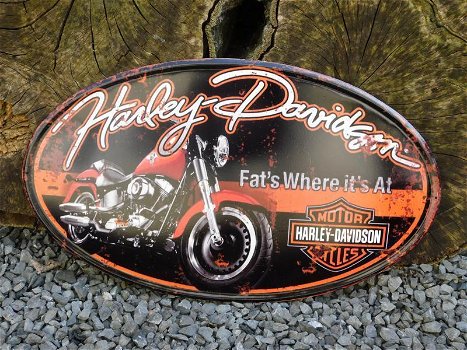 Harley Davidson , wandbord - 4