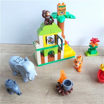 Lego Duplo Jungle | compleet | 10804 - 4