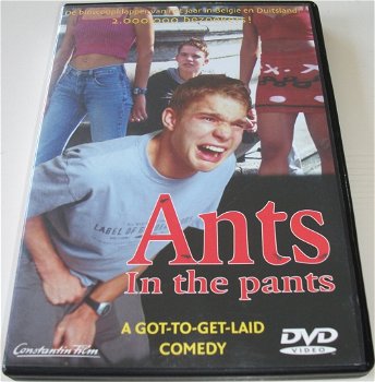 Dvd *** ANTS IN THE PANTS *** - 0