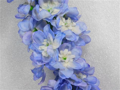 Delphinium , bloem , kuntbloemen - 2