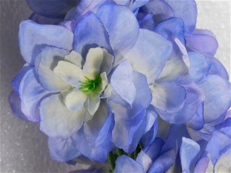 Delphinium , bloem , kuntbloemen - 4