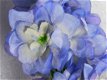 Delphinium , bloem , kuntbloemen - 4 - Thumbnail