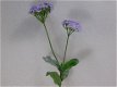 Hortensia , bloemen - 1 - Thumbnail