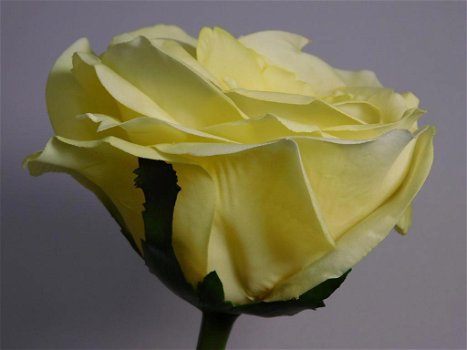 zelf bloemschikken , roos , kunstbloem - 1