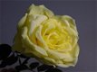 zelf bloemschikken , roos , kunstbloem - 2 - Thumbnail