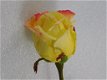 roos , kuntbloem , kado - 1 - Thumbnail