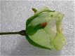 kado , prachtige roos - 3 - Thumbnail