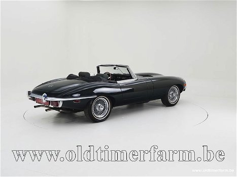 Jaguar E-Type 4.2 '69 CH9329 - 1