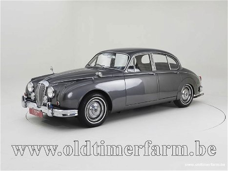 Daimler Double V250 '63 CH42bw - 0