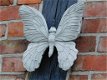 vlinder , sandra - 2 - Thumbnail