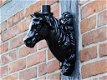 paardenhoofd , paard , lamparm - 0 - Thumbnail