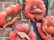 metalen muurdecoratie , bloemen - 4 - Thumbnail