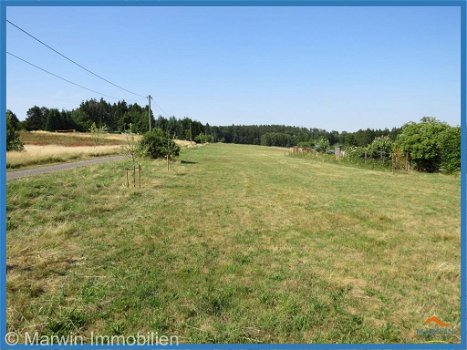 D816 Op toplocatie omgeven door bos en heide in Rheinland-Pfalz - 7