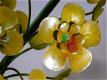 hyacint , bloem , tuinsteker - 3 - Thumbnail
