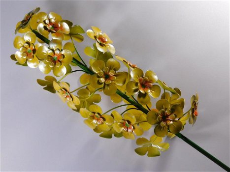 hyacint , bloem , tuinsteker - 4