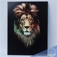 Leeuw met Glitter Effect op Aluminium - 65 x 76 cm