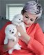 Mooie 3 Pommerse puppy's voor bij u thuis - 1 - Thumbnail