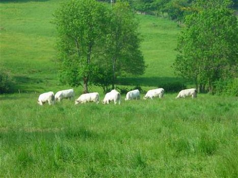 Romantische tussenstop op weg naar Frankrijk..... - 4