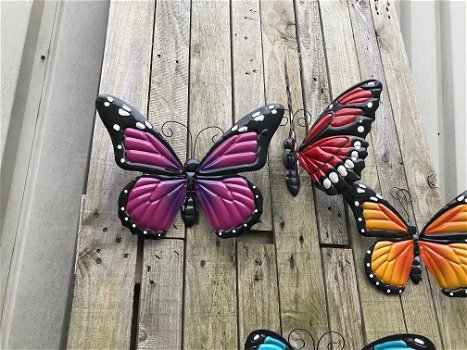 vlinders , vleugels,vlinder - 1