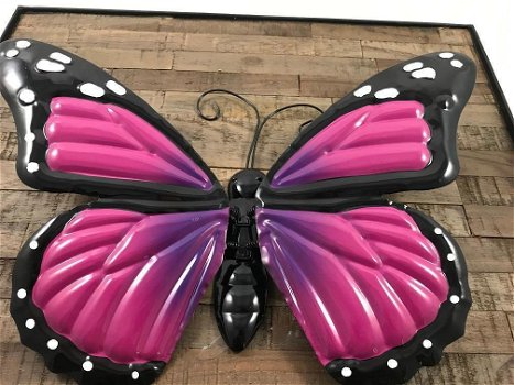 vlinders , vleugels,vlinder - 5