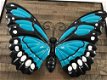 vlinders , vleugels,vlinder - 6 - Thumbnail