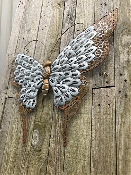 Grote en zeer decoratieve vlinder, heel mooi , vlinder - 5