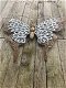 Grote en zeer decoratieve vlinder, heel mooi , vlinder - 7 - Thumbnail
