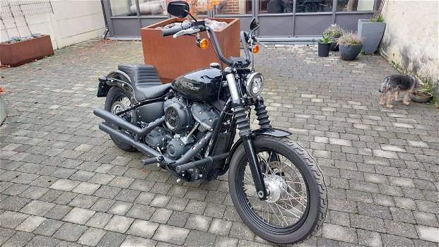 Harley Davidson Street Bob FXBB 2020 - 0