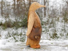 Pinguïn , kado