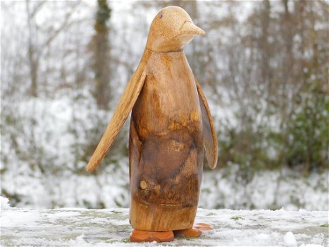 Pinguïn , kado - 4