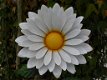 tuindecoratie , bloem , margriet - 1 - Thumbnail