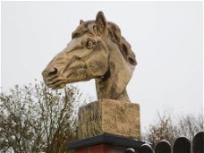 kado ,decoratie paard , paardenhoofd