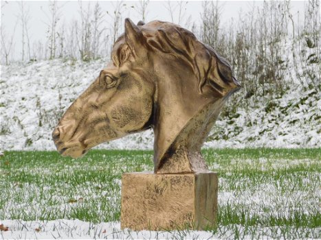 kado ,decoratie paard , paardenhoofd - 1