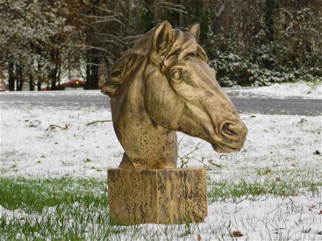 kado ,decoratie paard , paardenhoofd - 4