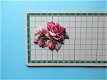 648 Amy / bloemen - 0 - Thumbnail