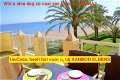 Uw eigen prachtige Villa in DENIA bij zee op perceel van 400 m2 met parking en - 6 - Thumbnail