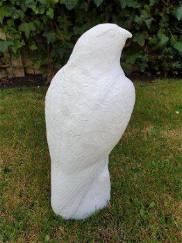 tuinbeeld van een witte adelaar , adelaar - 3