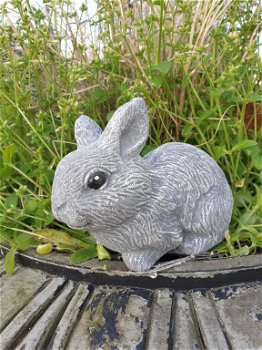 konijn,beeld van schattig klein konijntje - 2