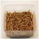 Te koop goede mooie levende meelwormen van een perfect forma - 2 - Thumbnail