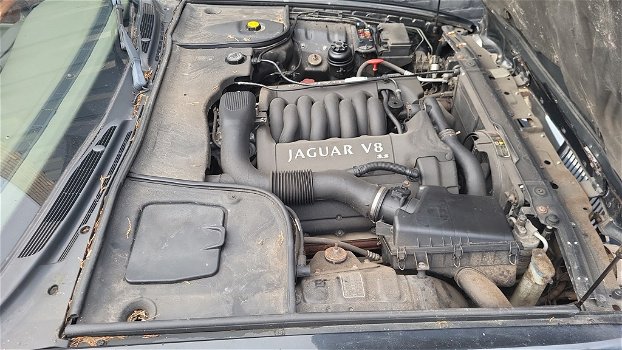 Jaguar Sovereign 3.2 V8 autom bj2000 - 5