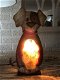 lamp van een hond - 0 - Thumbnail