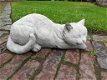 tuinbeeld poes , chintia - 5 - Thumbnail