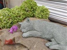 tuinbeeld poes van beton , kat