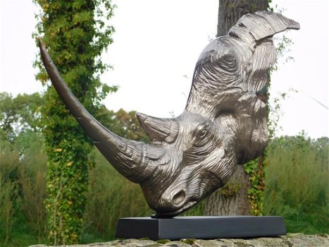 neushoorn , rino - 4