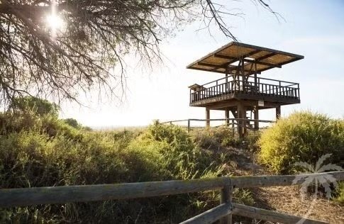 Uw eigen prachtige Appartement in LA MARINA bij zee zandstrand en duinen en met - 2