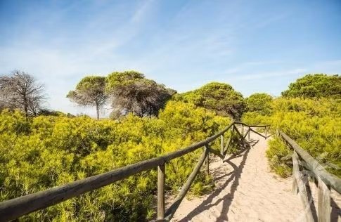 Uw eigen prachtige Appartement in LA MARINA bij zee zandstrand en duinen en met - 3