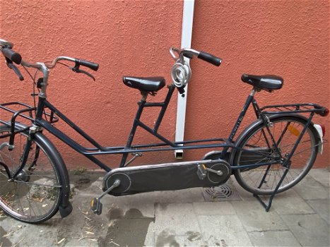 Tandem Gazelle - 0