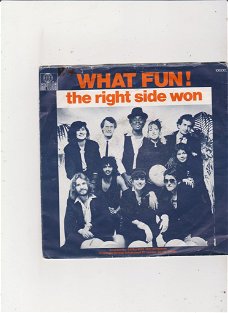 Single What Fun - The right side won