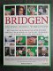 Boek Bridgen - Geschiedenis, Spelregels, Techniek & Tactiek - David Bird 9789048303335 - 0 - Thumbnail